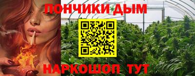 молекула духа Новозыбков