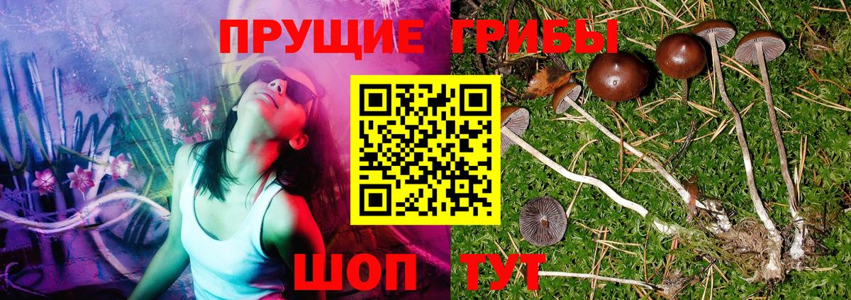 Галлюциногенные грибы MAGIC MUSHROOMS Славянск-на-Кубани