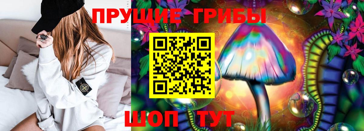 Славянск-на-Кубани  Галлюциногенные грибы Psilocybine cubensis  Вход с VPN 